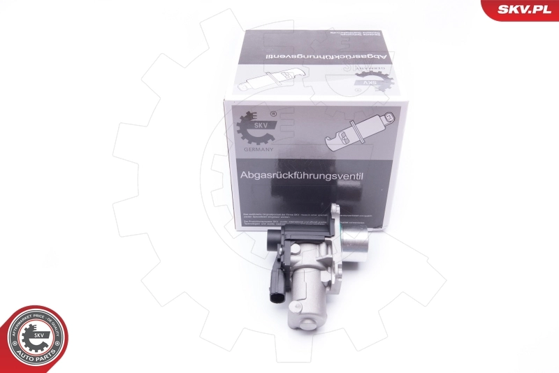 EGR-klapp ESEN SKV 14SKV170