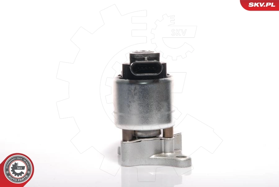 EGR-klapp ESEN SKV 14SKV041