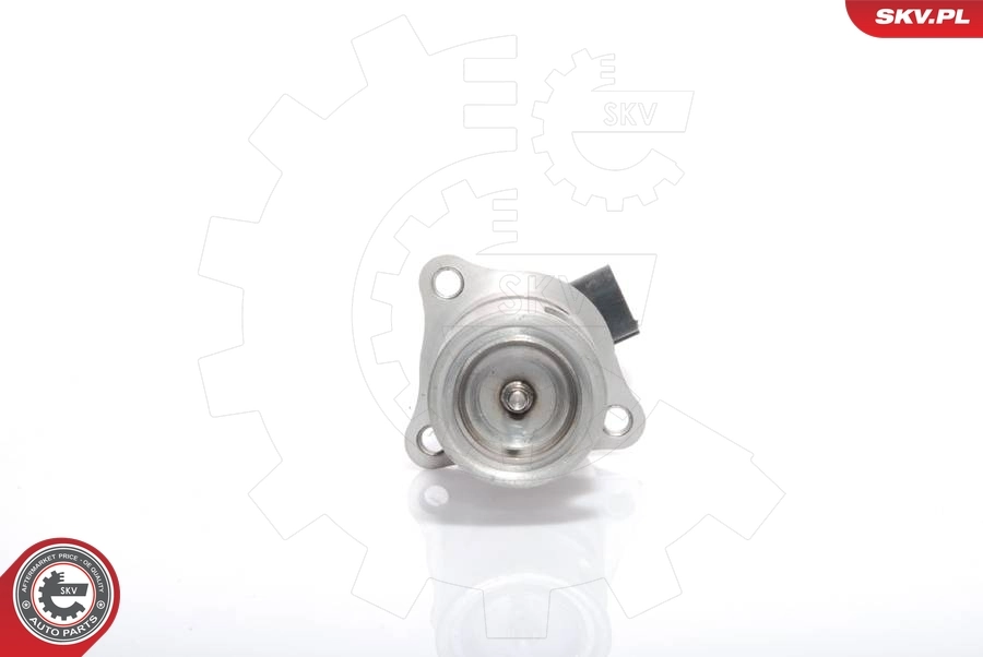 EGR-klapp ESEN SKV 14SKV021
