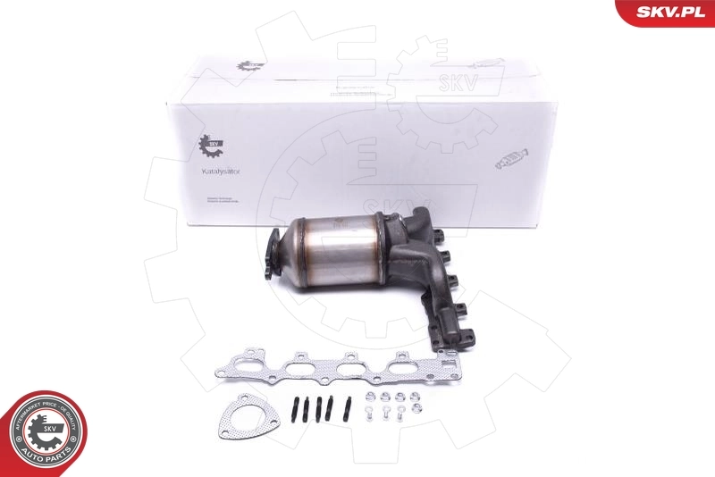 Katalüsaator ESEN SKV 62SKV002