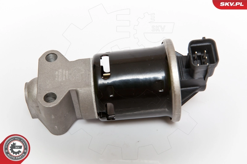 EGR-klapp ESEN SKV 14SKV059