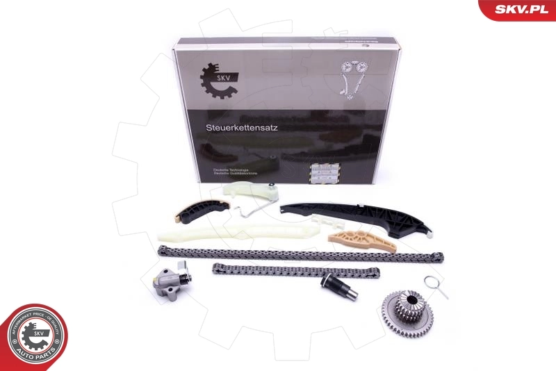 Mootori keti komplekt ESEN SKV 21SKV161