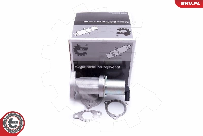 EGR-klapp ESEN SKV 14SKV209