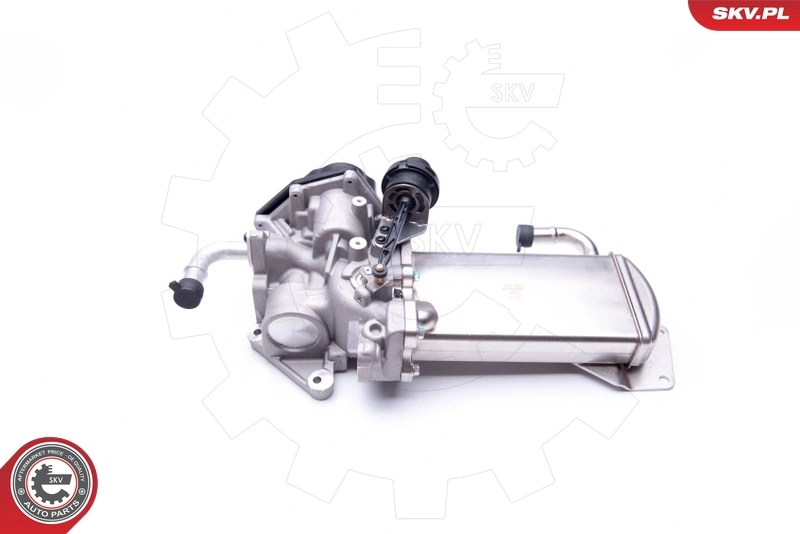 EGR-klapp ESEN SKV 14SKV154