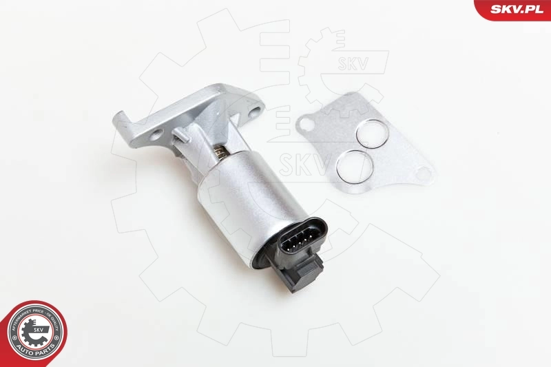 EGR-klapp ESEN SKV 14SKV013
