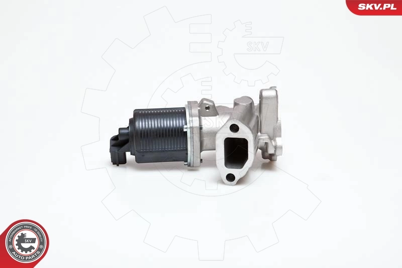 EGR-klapp ESEN SKV 14SKV040
