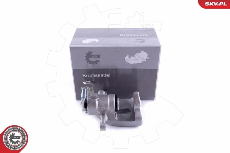 Pidurisadul ESEN SKV 55SKV123