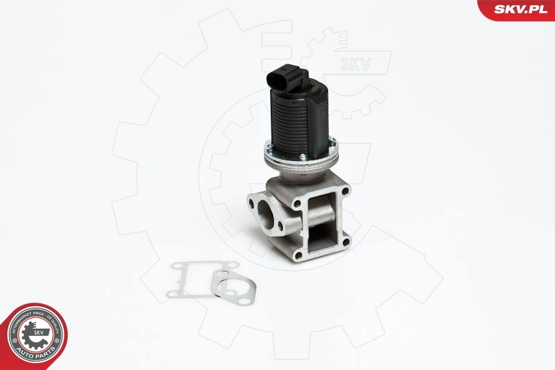 EGR-klapp ESEN SKV 14SKV012