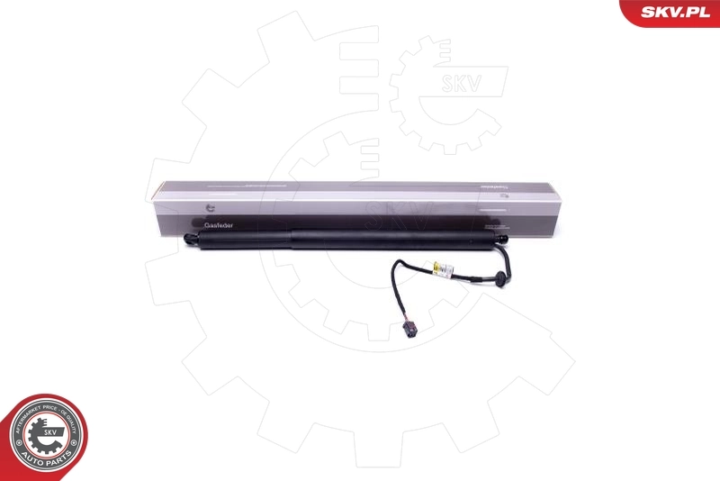 Elektrimootor, tagaluuk ESEN SKV 52SKV917