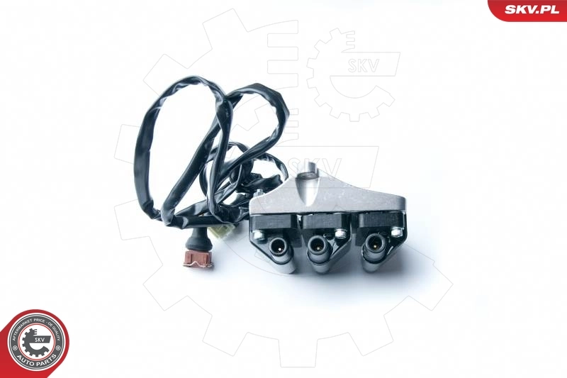 Süütepool ESEN SKV 03SKV217