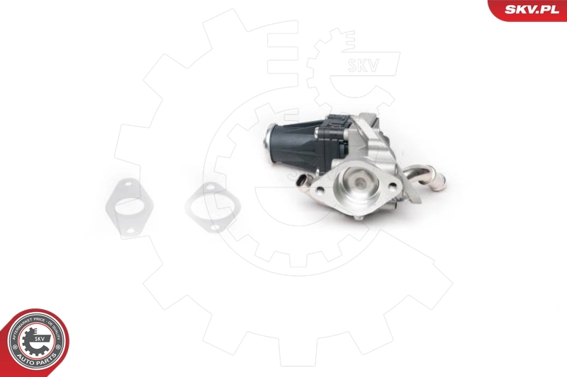 EGR-klapp ESEN SKV 14SKV100