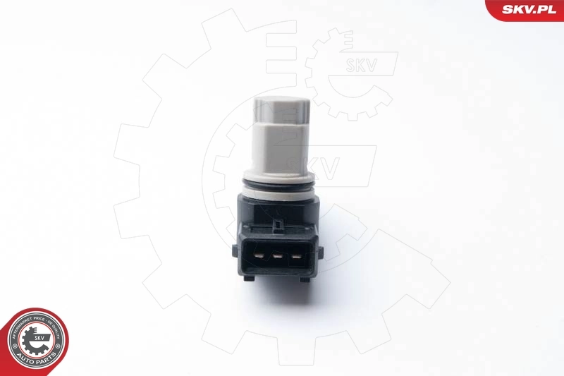 Andur, Nukkvõllipositsioon ESEN SKV 17SKV261