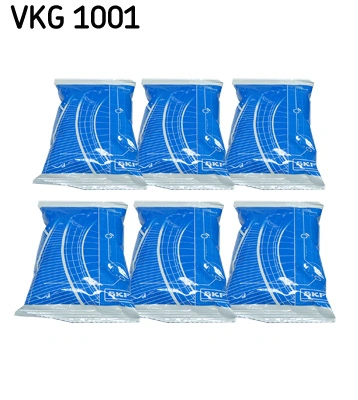 Rasv SKF VKG 1001