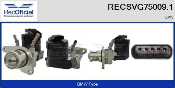 RECOFICIAL RECSVG75009.1