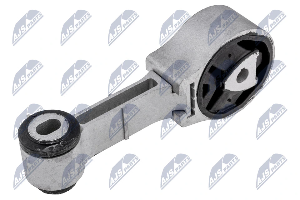 Paigutus, Mootor NTY ZPS-RE-079