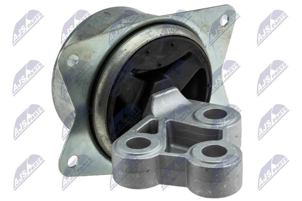 Paigutus, Mootor NTY ZPS-PL-045