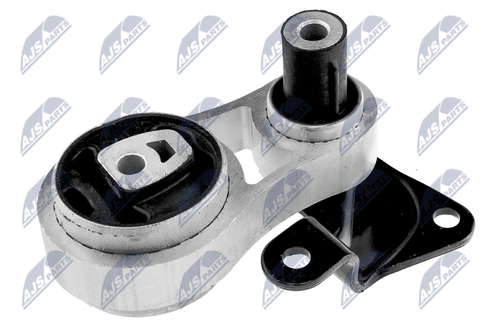 Paigutus, Mootor NTY ZPS-FR-001