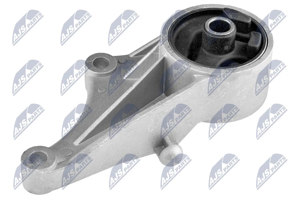 Paigutus, Mootor NTY ZPS-PL-015