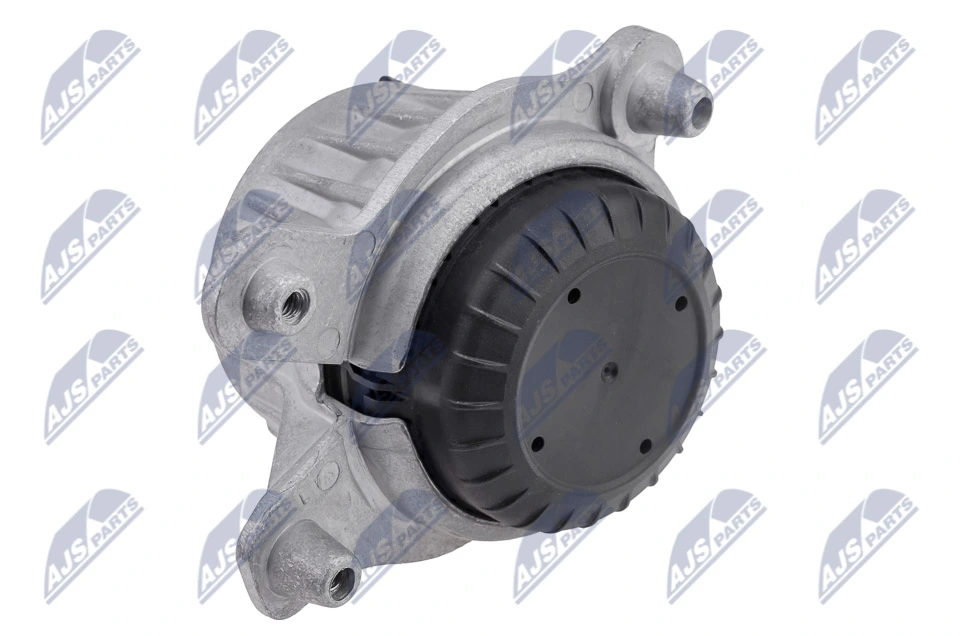 Paigutus, Mootor NTY ZPS-ME-043