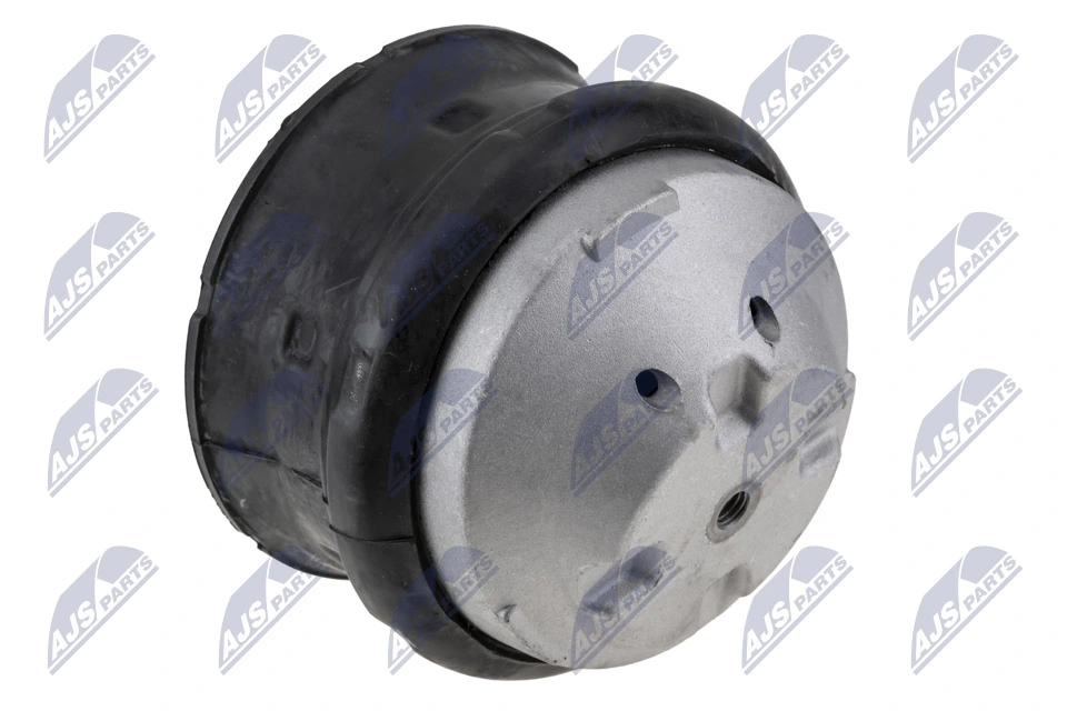 Paigutus, Mootor NTY ZPS-ME-083