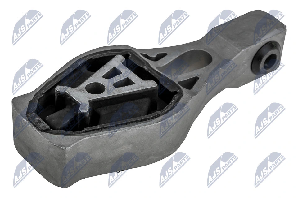 Paigutus, Mootor NTY ZPS-PE-022