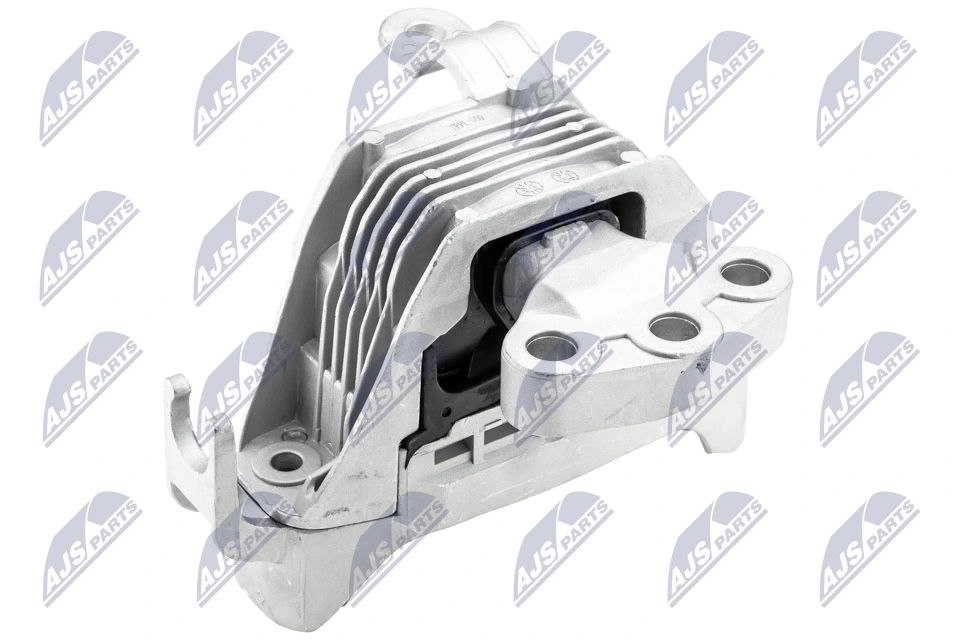 Paigutus, Mootor NTY ZPS-PL-060