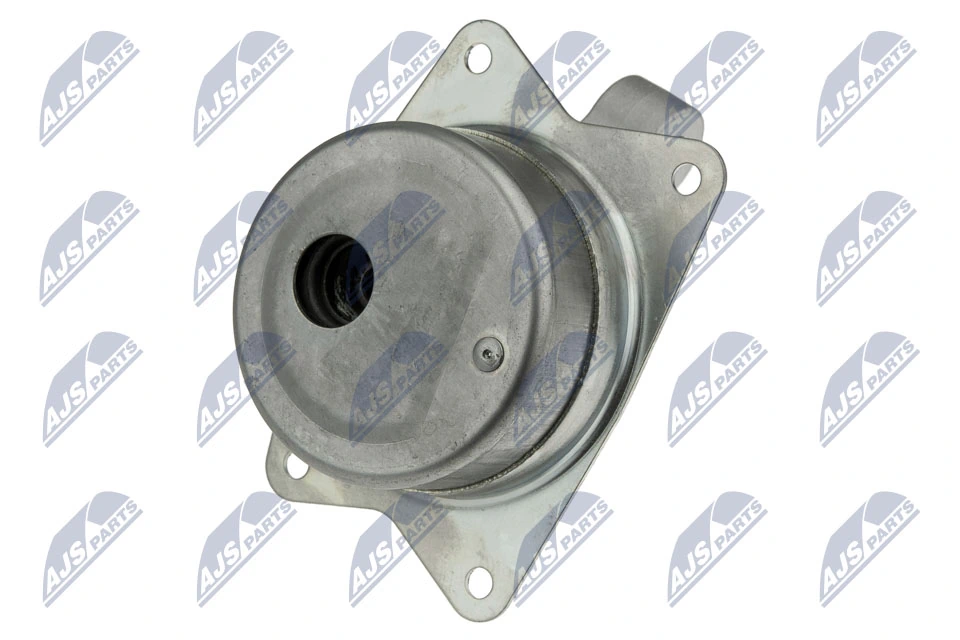 Paigutus, Mootor NTY ZPS-PL-049