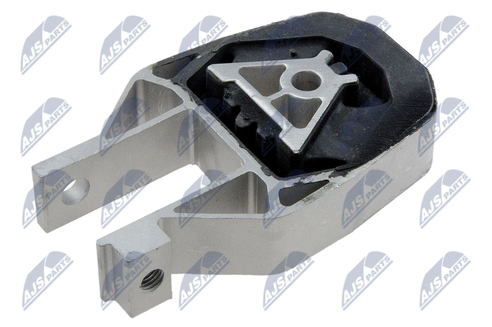 Paigutus, Mootor NTY ZPS-FR-040