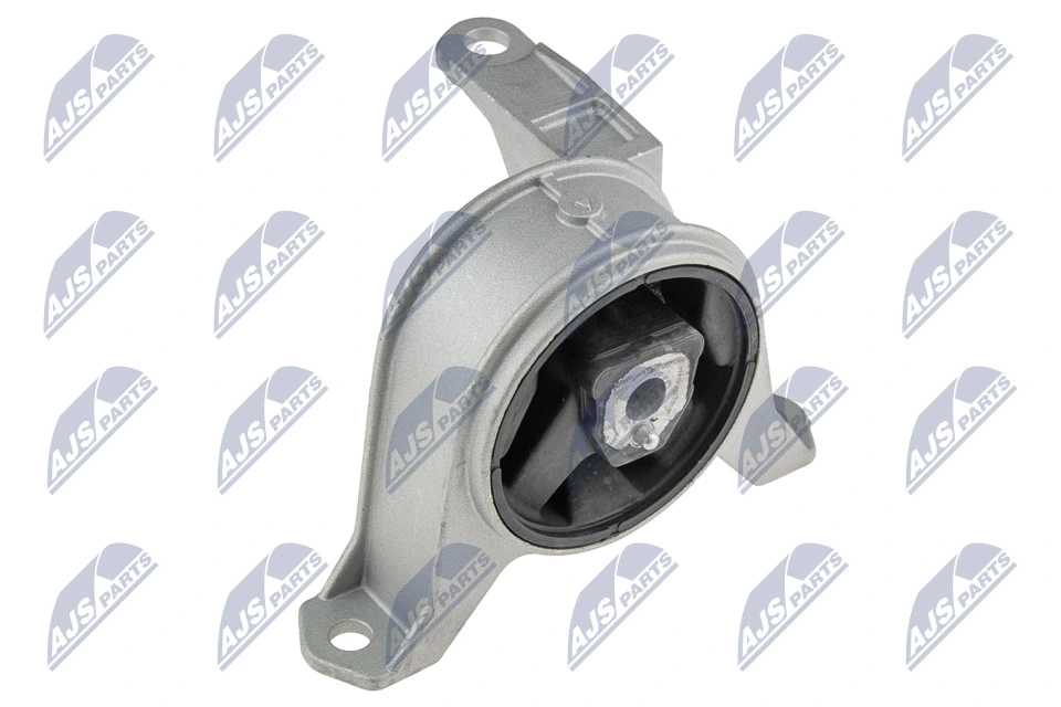 Paigutus, Mootor NTY ZPS-PL-001