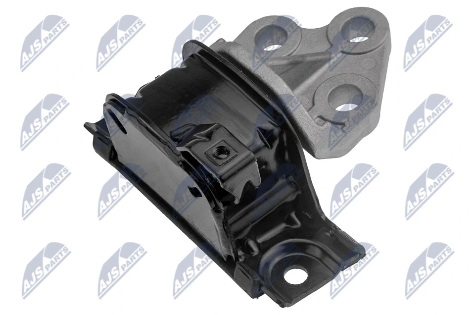 Paigutus, Mootor NTY ZPS-PL-089