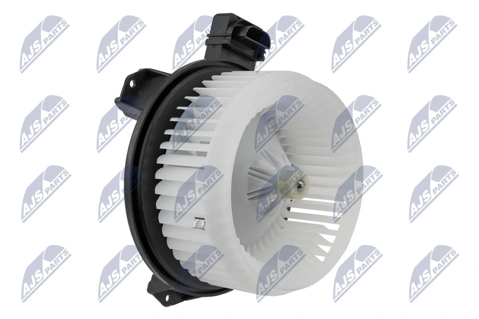 Salongipuhur NTY EWN-CH-003