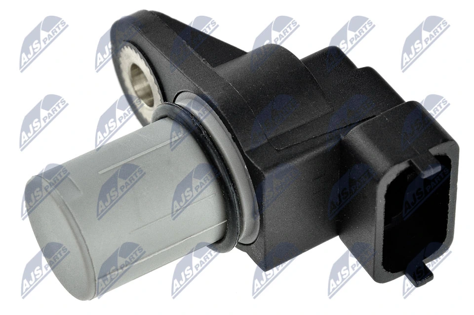 Andur, Nukkvõllipositsioon NTY ECP-CH-019