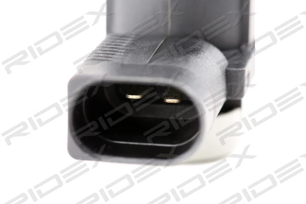 RIDEX 1134P0003