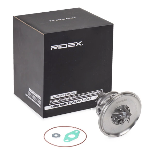 RIDEX 4973C0221