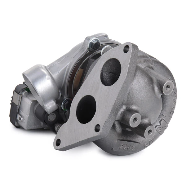 RIDEX 2234C10079R