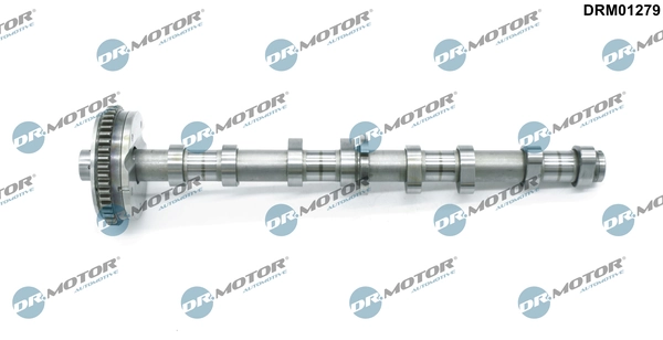 Nukkvõll Dr.Motor Automotive DRM01279