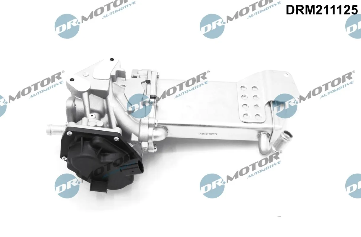 EGR-klapp Dr.Motor Automotive DRM211125