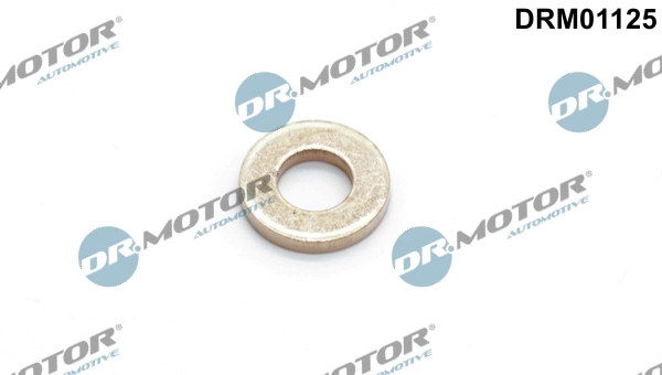 Kaitseseib, sissepritsesüsteem Dr.Motor Automotive DRM01125