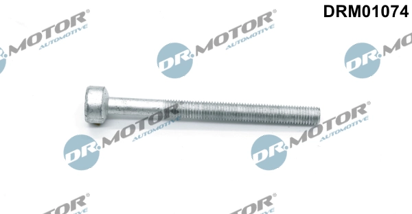 Kruvi, sissepritsedüüsi kinnitus Dr.Motor Automotive DRM01074
