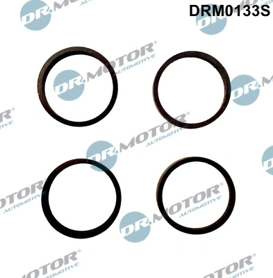 Tihendikomplekt, Sisselaskekollektor Dr.Motor Automotive DRM0133S