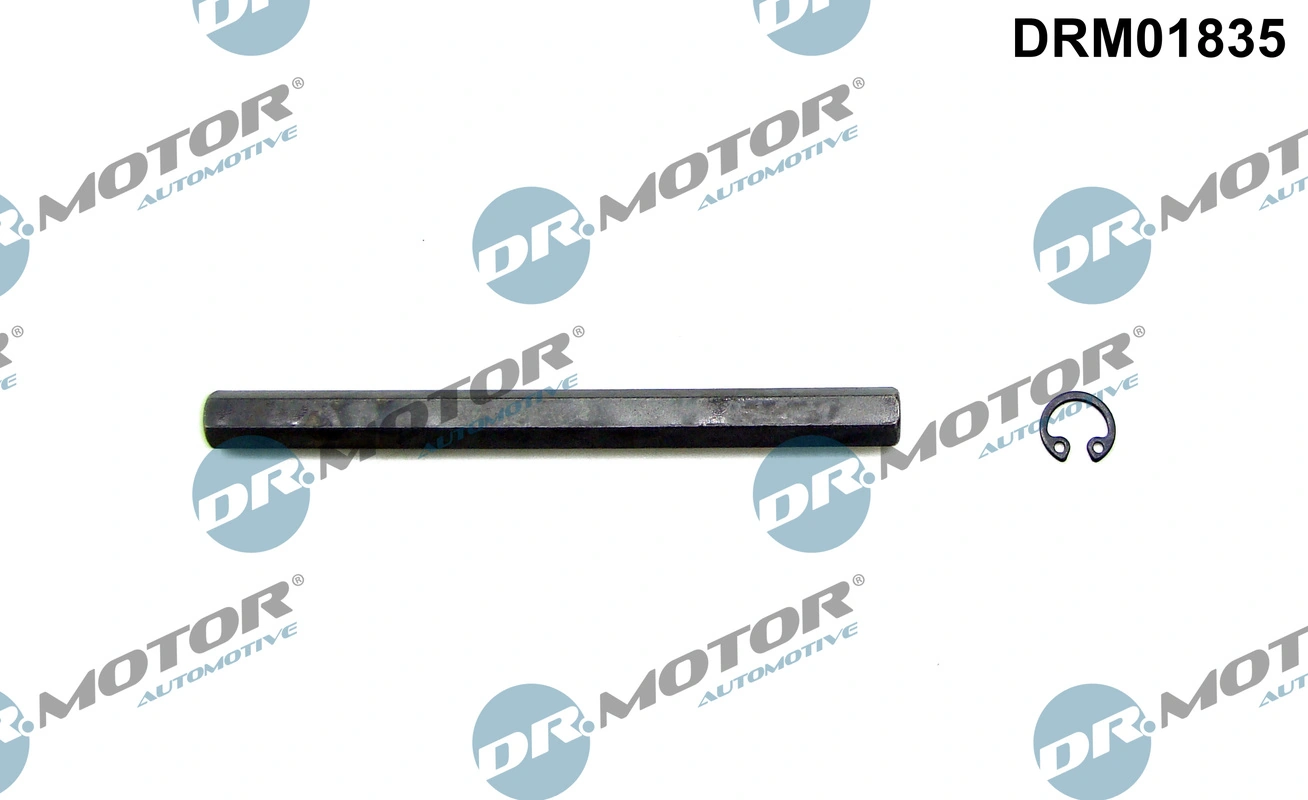 Veovõll, õlipump Dr.Motor Automotive DRM01835