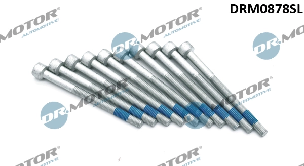 Kruvi, sissepritsedüüsi kinnitus Dr.Motor Automotive DRM0878SL