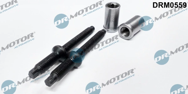 Kruvi, sissepritsedüüsi kinnitus Dr.Motor Automotive DRM0559