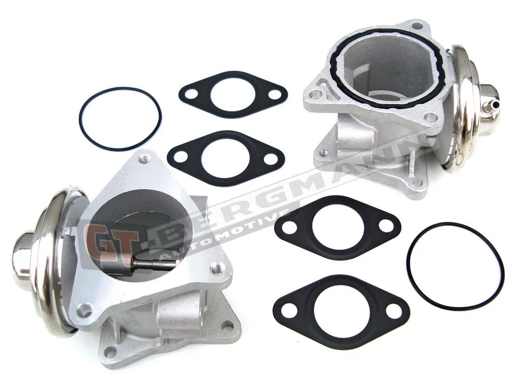 EGR-klapp GT-BERGMANN GT55-007