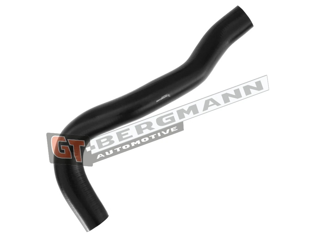 Laadimisõhu voolik GT-BERGMANN GT52-274
