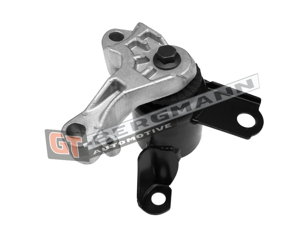 Paigutus, Mootor GT-BERGMANN GT25-034