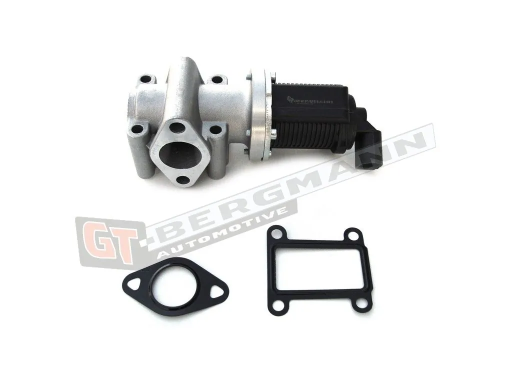 EGR-klapp GT-BERGMANN GT55-036