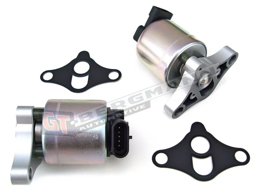EGR-klapp GT-BERGMANN GT55-005