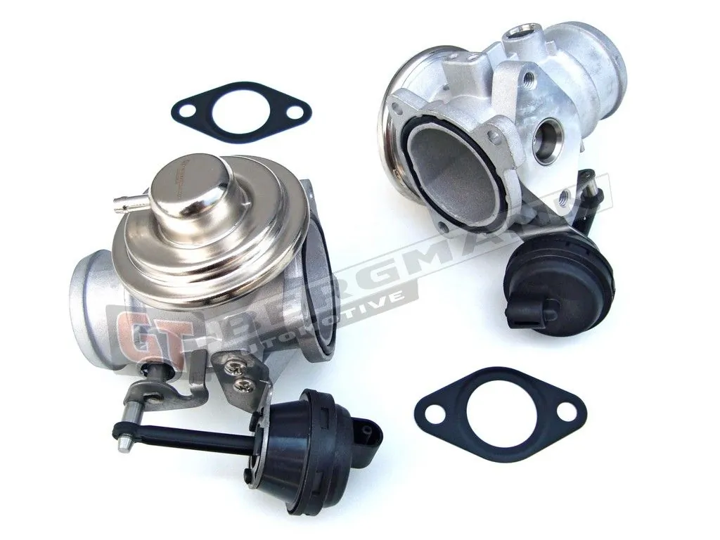 EGR-klapp GT-BERGMANN GT55-014
