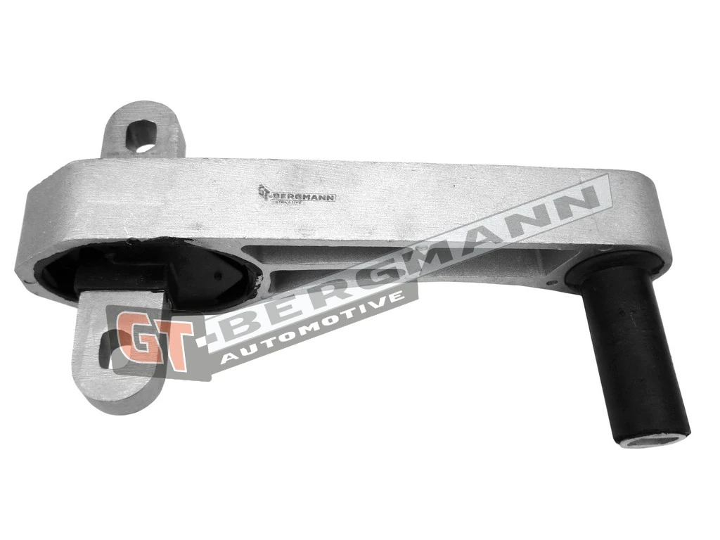 Paigutus, Mootor GT-BERGMANN GT25-029